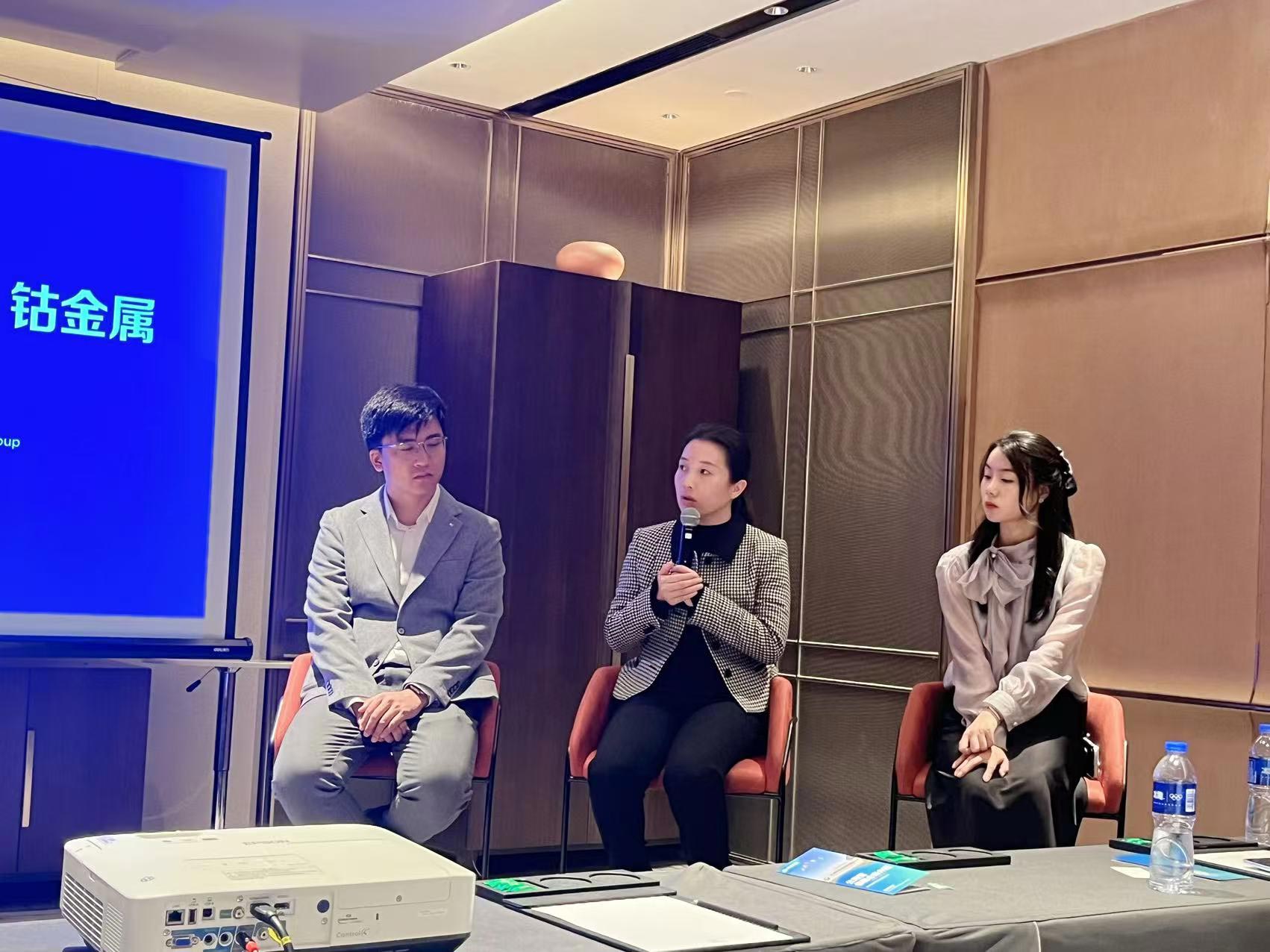 Luwei New Materials made a wonderful appearance at the 2025 China International Nickel and Cobalt Industry Annual Conference with core services