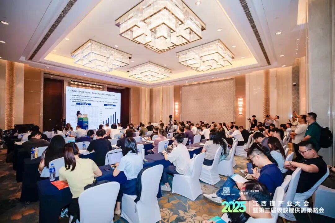 The lithium hydroxide price difference arbitrage strategy co-organized by Luwei New Materials will come to a successful conclusion!